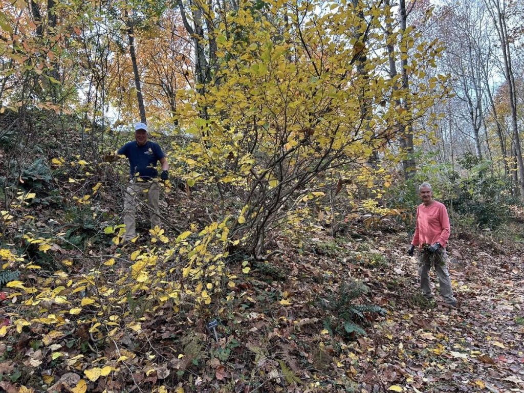 Rotary Club Of Clayton